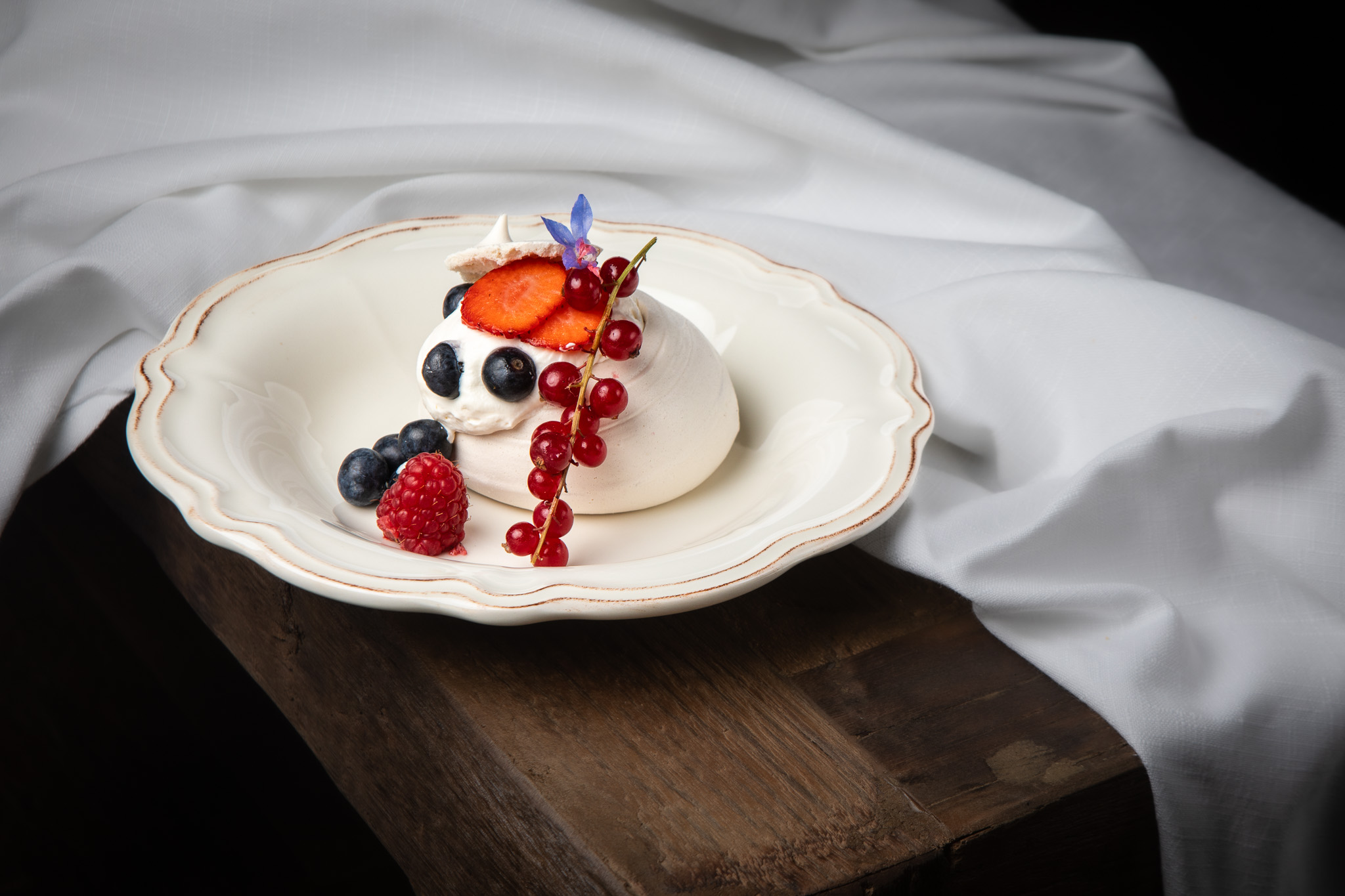 260405_HRI_Verso_paulova_532A9778